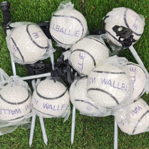 Hurling Ball with Ground spike ** Pack Of 6**